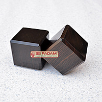 Black Ebony Wood Karungali Paperweight